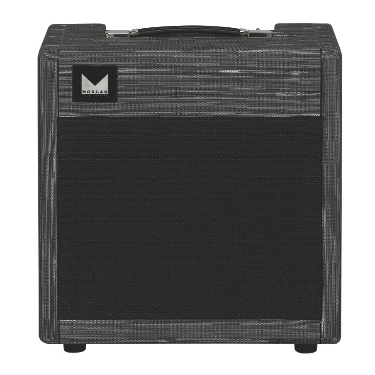 Morgan AC20 Deluxe Philips EF86 Groove Tubes Super Pre EL84S Full Upgrade Kit Morgan AC20 Deluxe Philips EF86 Groove Tubes Super Pre EL84S Full Upgrade Kit